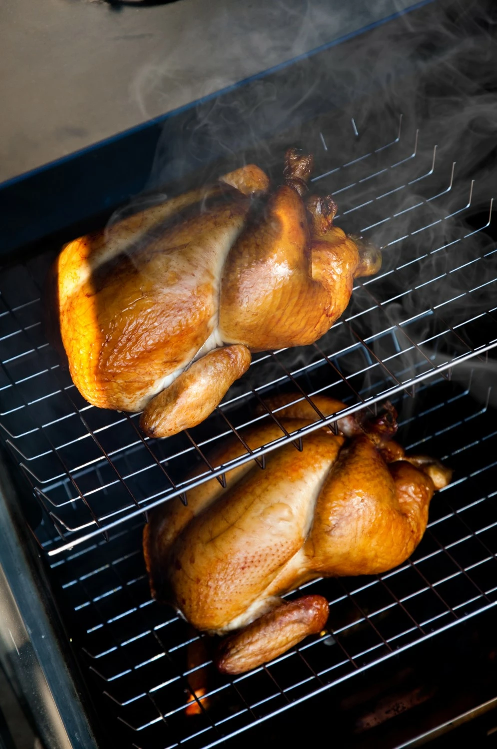 Grillfuerst Speichern -GrillProfi Verkaufs-Shop 13236 Bradley Smoker Gefluegel