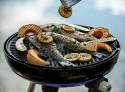CADAC Camping Gasgrill Carri Chef 50 / BBQ Plancha + Dome - 50 Mbar -GrillProfi Verkaufs-Shop CADAC Carri Chef 50 Plancha