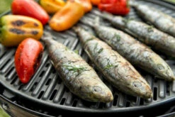 CADAC Camping Gasgrill Grillo Chef 40 / BBQ + Dome - 30 Mbar -GrillProfi Verkaufs-Shop CADAC Gasgrill Grillo Chef 40 Grillrost 2