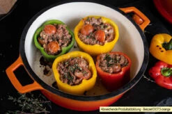 Grillfürst Emaillierter Dutch Oven Ohne Füsse DO12 - Rot -GrillProfi Verkaufs-Shop Grillfuerst Dutch Oven emailliert Beispiel DO7 5 orange 1