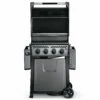 Napoleon Freestyle 425 Gasgrill, Graphit - Modell 2023 -GrillProfi Verkaufs-Shop Napoleon Freestyle 425 Gasgrill deckel offen 2