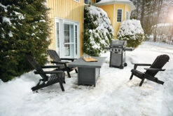 Napoleon Freestyle 365 Gasgrill, Graphit - Mit Seitenbrenner - Modell 2023 41 Napoleon Freestyle 365 Gasgrill, Graphit - Mit Seitenbrenner - Modell 2023 -GrillProfi Verkaufs-Shop Napoleon Freestyle F365SBGT Lifestyle Winter