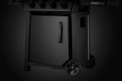 Napoleon Phantom Freestyle 425 Gasgrill, Mattschwarz - Mit Sizzle Zone Und Tür - Modell 2023 25 Napoleon Phantom Freestyle 425 Gasgrill, Mattschwarz - Mit Sizzle Zone Und Tür - Modell 2023 -GrillProfi Verkaufs-Shop Napoleon Phantom Freestyle F425DSIBPK PHM Detail Compartment