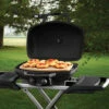 Napoleon Pizzastein Für TravelQ 2 Napoleon Pizzastein Für TravelQ -GrillProfi Verkaufs-Shop Napoleon Pizzastein Travel Q Campinggrill