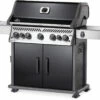 Napoleon Rogue SE 625 Gasgrill, Schwarz Mit Gussrosten, Sizzle Zone Und Heckbrenner - Modell 2023