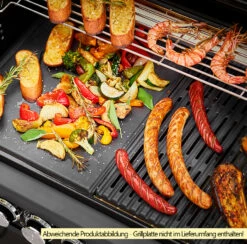 Rösle Gasgrill Magnum PRO G4-S - Modell 2023 -GrillProfi Verkaufs-Shop Roesle Magnum Pro G4 S Grillflaeche 3