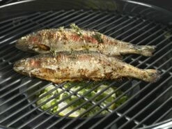 Outdoorchef Gusseisenpfanne / Aromapfanne Ø 23cm -GrillProfi Verkaufs-Shop outdoorchef aromapfanne 18 211 71 f