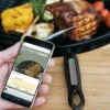Outdoorchef Gourmet Check Dual BT Bluetooth Grillthermometer 1 Outdoorchef Gourmet Check Dual BT Bluetooth Grillthermometer -GrillProfi Verkaufs-Shop outdoorchef gourmet check dual bt 18 212 59 01