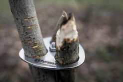 Petromax Dreibein-Ring 17 Petromax Dreibein-Ring -GrillProfi Verkaufs-Shop petromax dreibeinring detail d ring